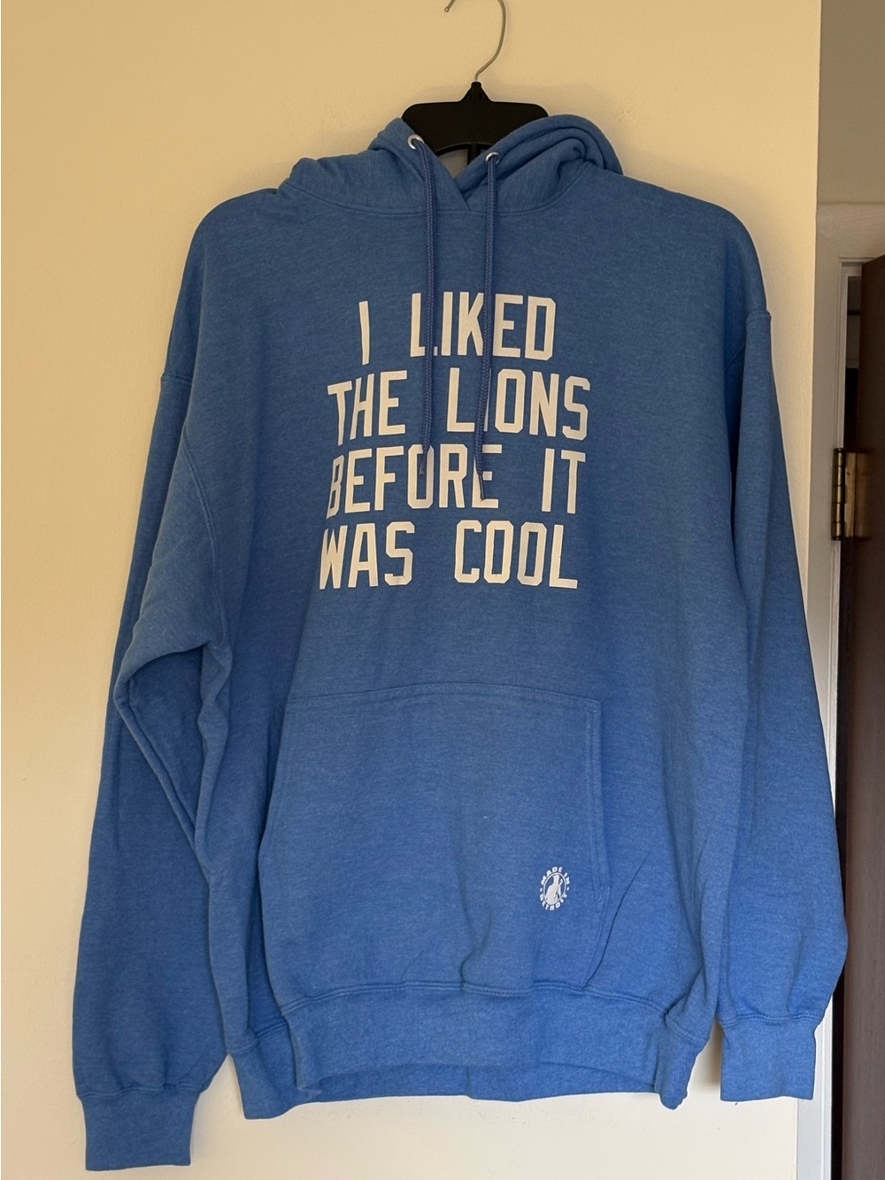 "I Liked The Lions Before It Was Cool" Graphic Pullover Hoodie Made In Detroit
